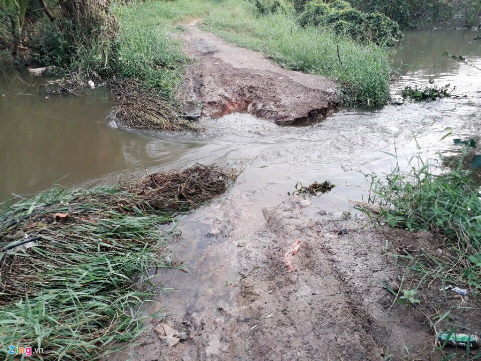 Sài Gòn vỡ đê bao, kẹt xe trong ngày triều cường đạt đỉnh